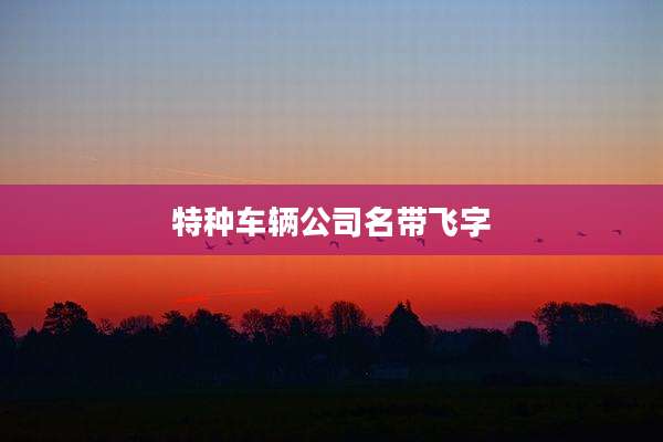 特种车辆公司名带飞字