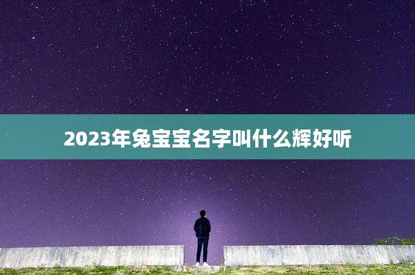 2023年兔宝宝名字叫什么辉好听