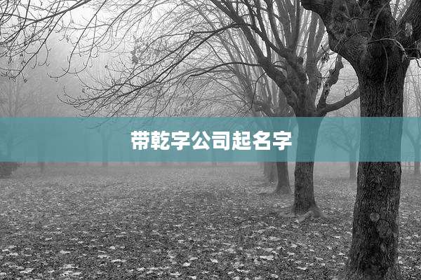 带乾字公司起名字