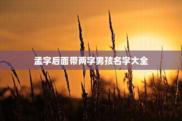 孟字后面带两字男孩名字大全