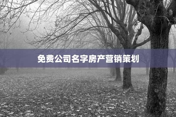 免费公司名字房产营销策划