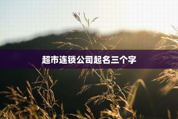 超市连锁公司起名三个字