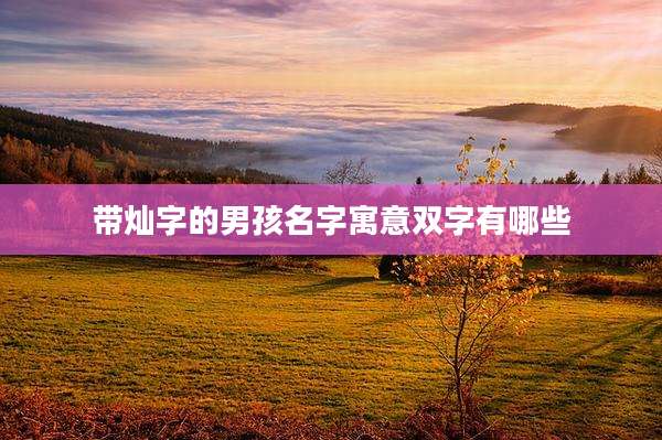 带灿字的男孩名字寓意双字有哪些