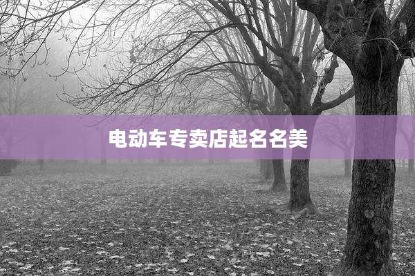 电动车专卖店起名名美