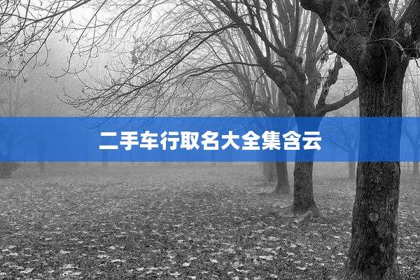 二手车行取名大全集含云