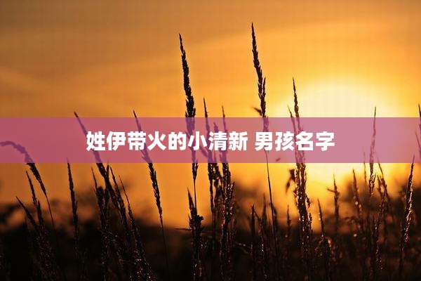 姓伊带火的小清新 男孩名字