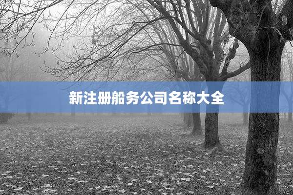 新注册船务公司名称大全