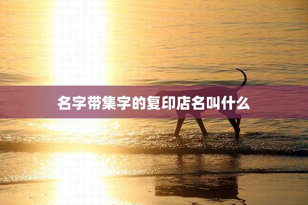 名字带集字的复印店名叫什么