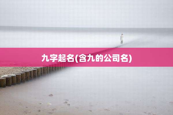 九字起名(含九的公司名)