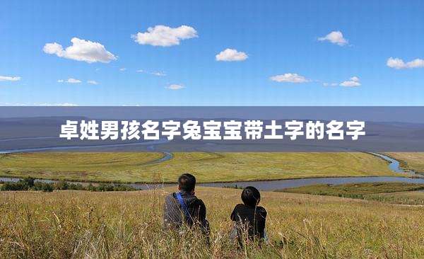 卓姓男孩名字兔宝宝带土字的名字