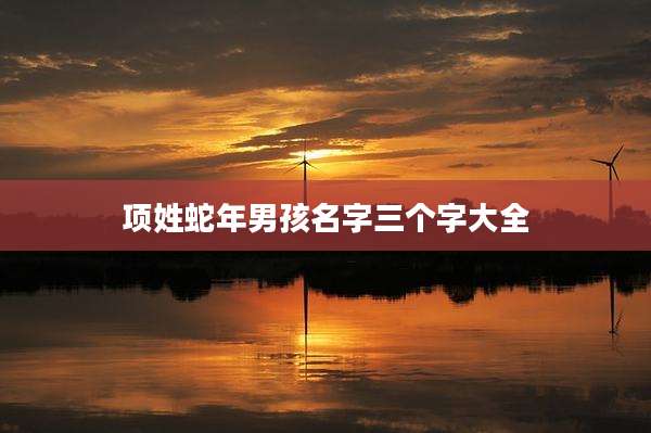 项姓蛇年男孩名字三个字大全