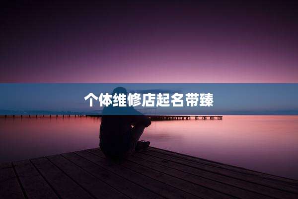 个体维修店起名带臻