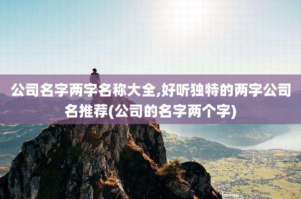 公司名字两字名称大全,好听独特的两字公司名推荐(公司的名字两个字)