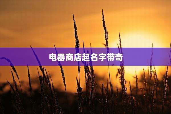 电器商店起名字带奇