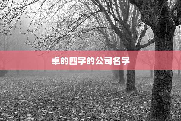卓的四字的公司名字