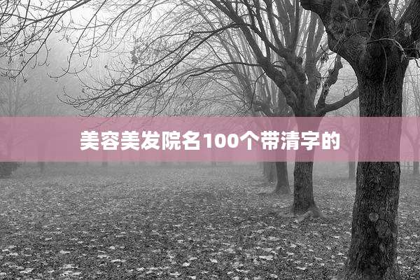 美容美发院名100个带清字的
