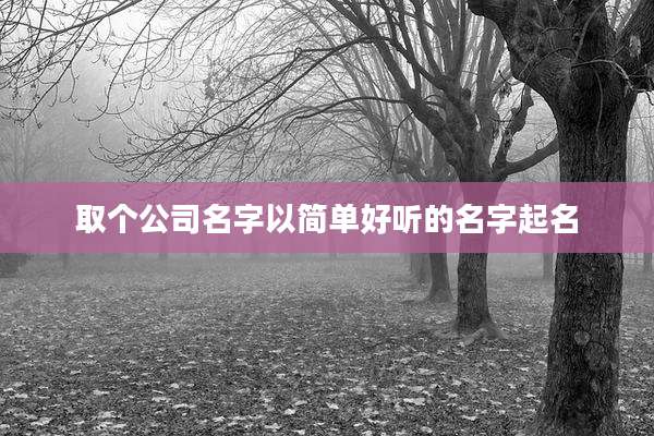 取个公司名字以简单好听的名字起名