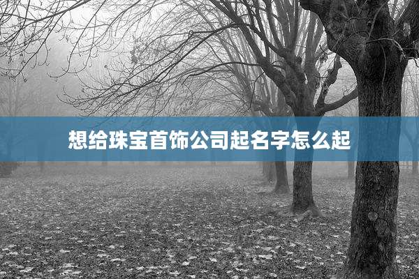 想给珠宝首饰公司起名字怎么起
