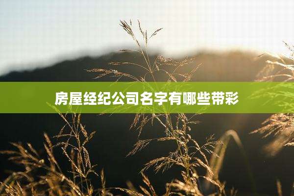 房屋经纪公司名字有哪些带彩