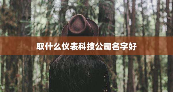 取什么仪表科技公司名字好