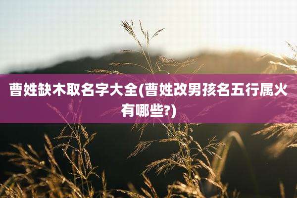 曹姓缺木取名字大全(曹姓改男孩名五行属火有哪些?)