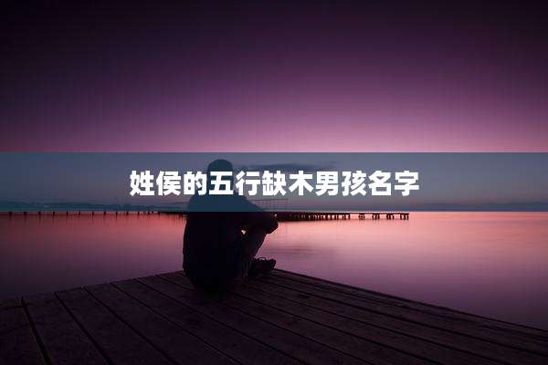 姓侯的五行缺木男孩名字