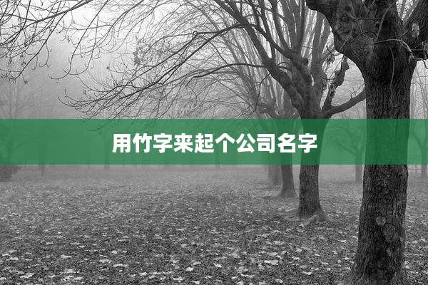 用竹字来起个公司名字