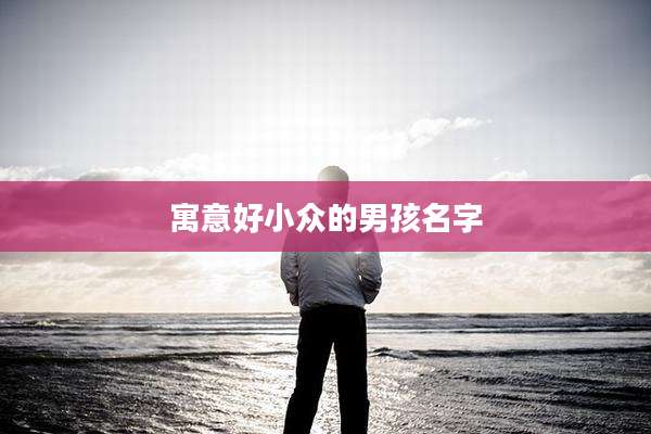 寓意好小众的男孩名字