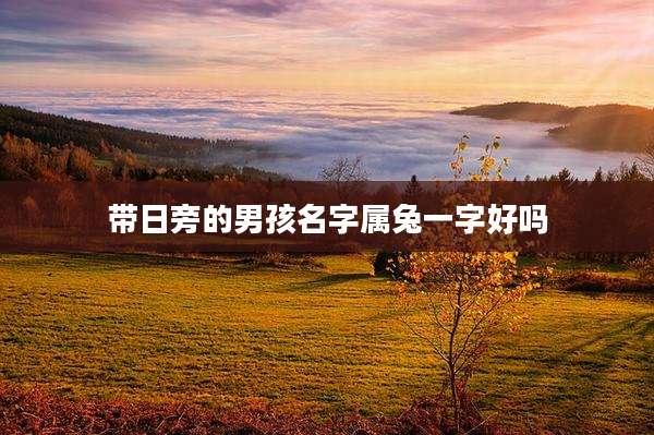 带日旁的男孩名字属兔一字好吗