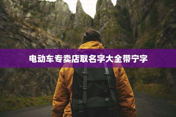 电动车专卖店取名字大全带宁字