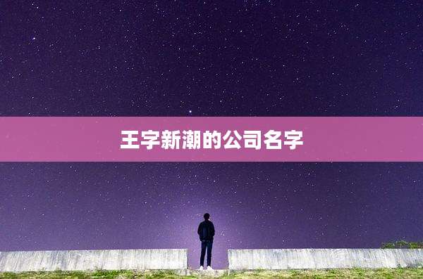 王字新潮的公司名字