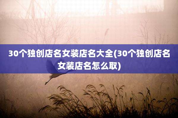 30个独创店名女装店名大全(30个独创店名女装店名怎么取)