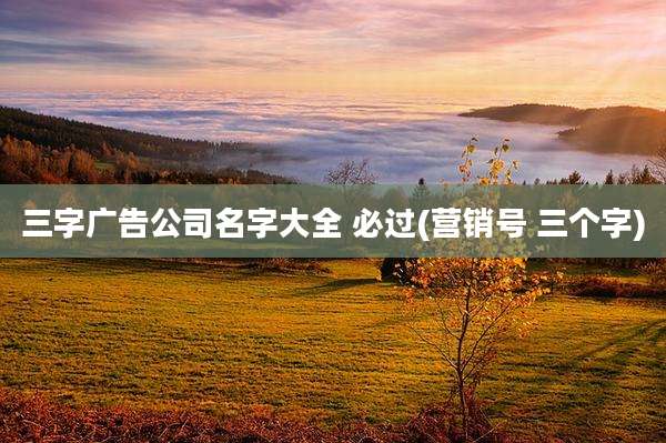 三字广告公司名字大全 必过(营销号 三个字)