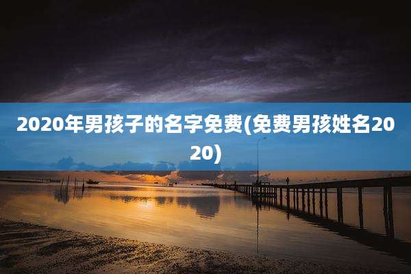 2020年男孩子的名字免费(免费男孩姓名2020)