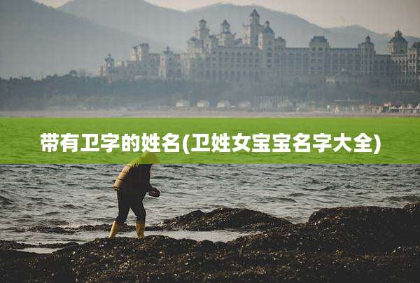 带有卫字的姓名(卫姓女宝宝名字大全)