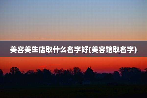 美容美生店取什么名字好(美容馆取名字)
