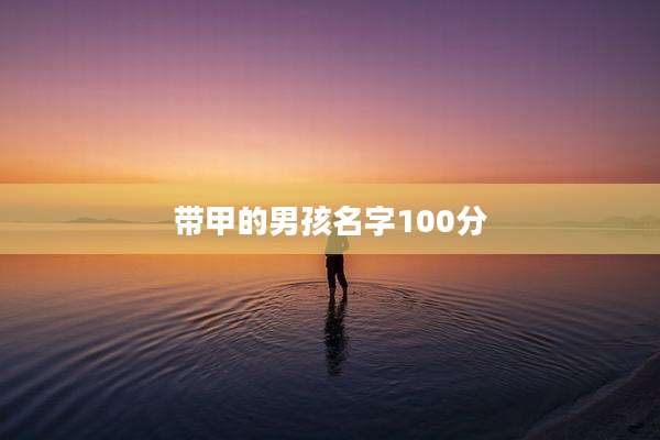 带甲的男孩名字100分
