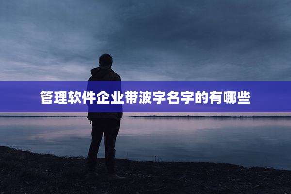 管理软件企业带波字名字的有哪些