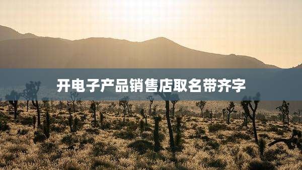 开电子产品销售店取名带齐字