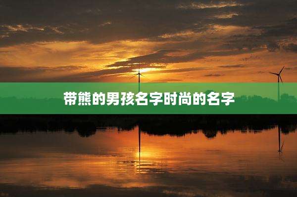 带熊的男孩名字时尚的名字