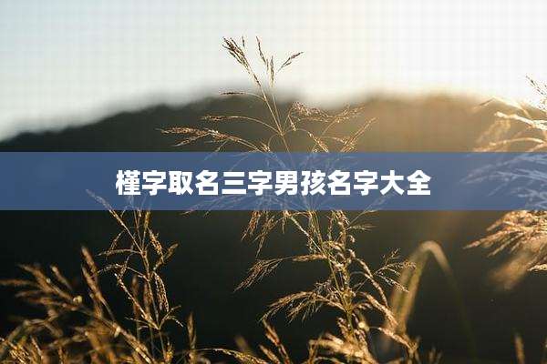 槿字取名三字男孩名字大全