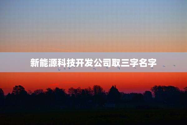 新能源科技开发公司取三字名字