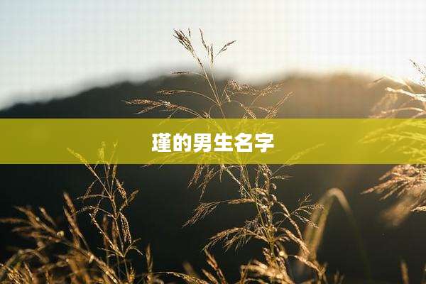 瑾的男生名字