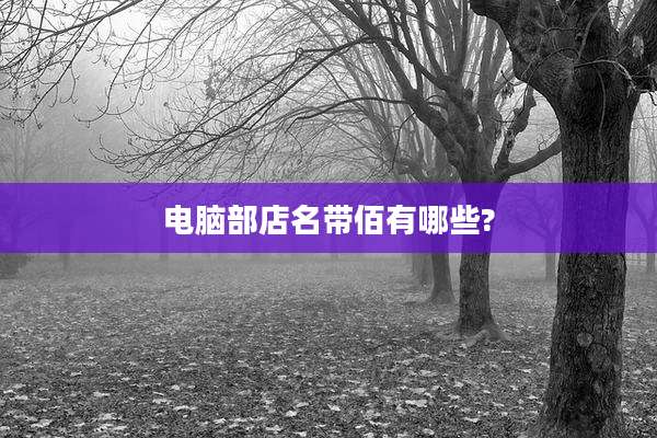 电脑部店名带佰有哪些?