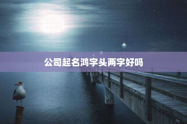 公司起名鸿字头两字好吗