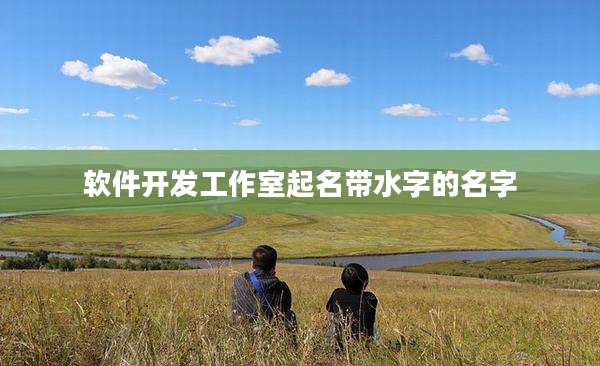 软件开发工作室起名带水字的名字