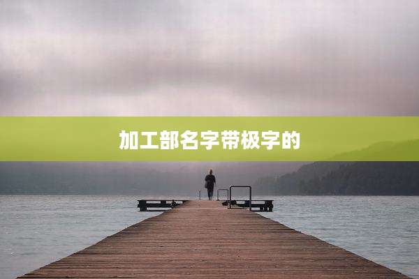 加工部名字带极字的