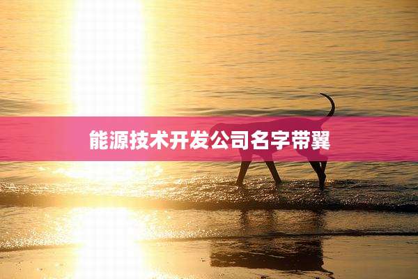 能源技术开发公司名字带翼