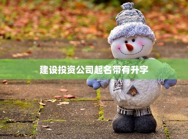 建设投资公司起名带有升字