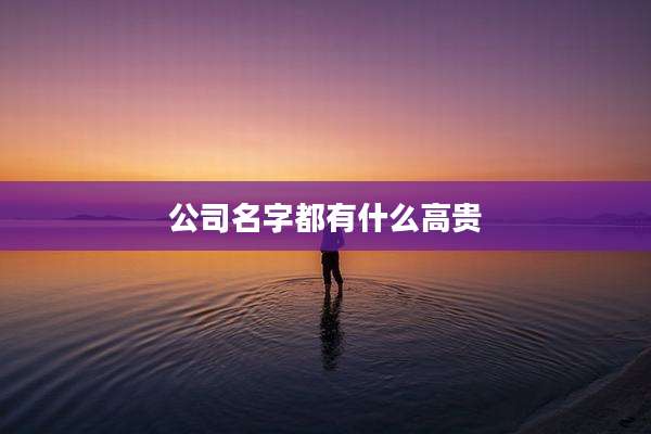 公司名字都有什么高贵